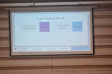 مهشاد وکیل نژاد